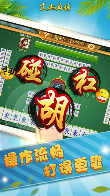 文山麻将游戏v321安卓版