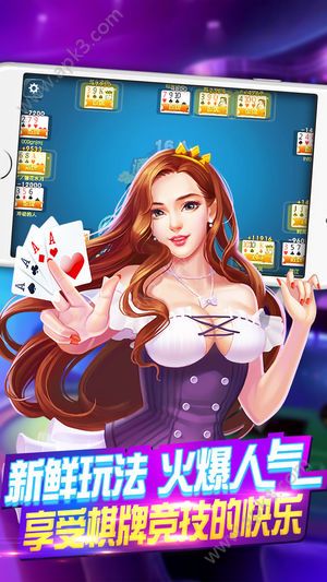 网狐棋牌app