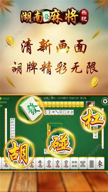 乐玩湖南麻将