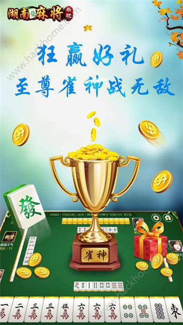 乐玩湖南麻将