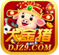大金猪app2022
